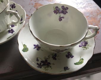 Sweet Hammersley & co violet fall tea cup saucer