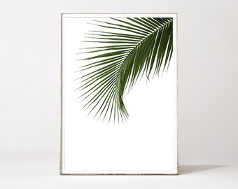 PALM LEAF PRINT, palm leaf, botanical print, leaf print, botanical art, tropical art print, palm tree, minimalist