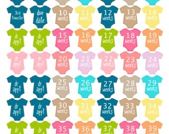 PREGNANCY PLANNER STICKERS - perfect for Erin Condren, Kate Spade, Lilly, and many more paper-based planners