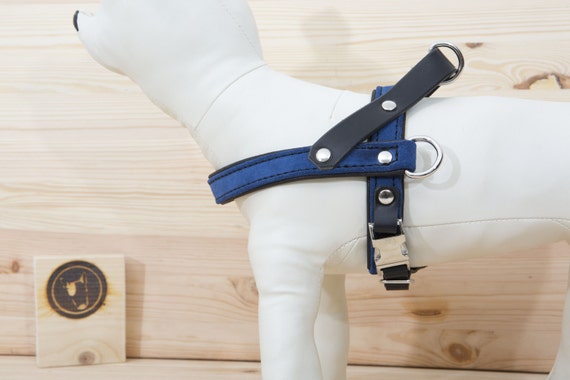 Dog Harness in Blue Leather - Handmade Adjustable Dog Harness - Comfort Harness for Small and Large Dogs - Stylish Dog Harness - YupCollars