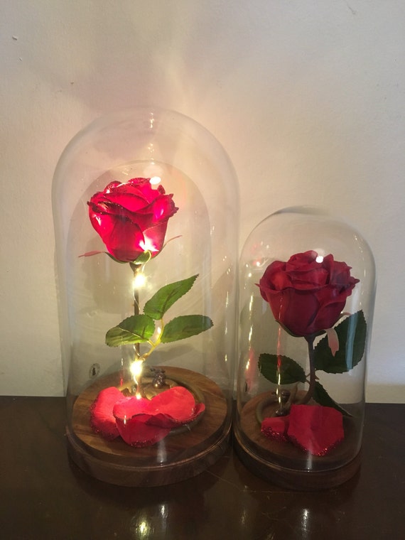 Beauty and the Beast Rose Dome Large from ...