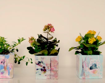Art Deco Planter Pots with Plant!