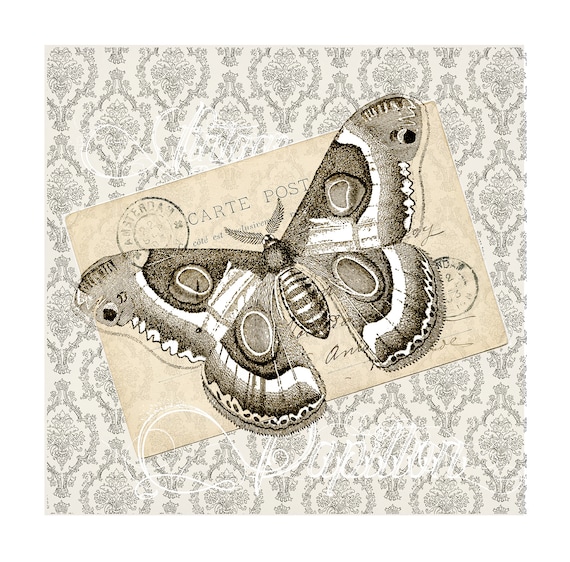 Items Similar To Vintage Butterfly Greeting Card. A Beautiful Card For ...