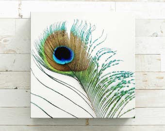 Peacock Decor - Peacock Wall Art - Peacock Feather Art - Peacock Art - Peacock Wall Decor - Canvas Print - Canvas Wall Art - Canvas Art 8x8