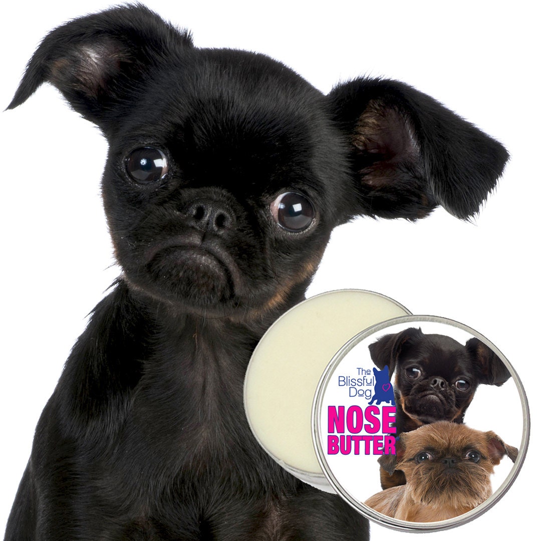 brussels griffon stuffed animal