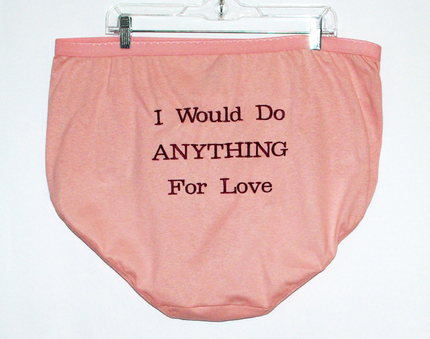 I Would Do Anything For Love Panties Embroidered Funny Custom