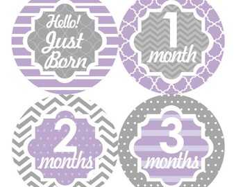 Baby Month Stickers, Monthly Baby Stickers, Baby Girl First Year Stickers, Baby Milestone Props, Baby Shower Gift Stickers, Grey Purple 072G