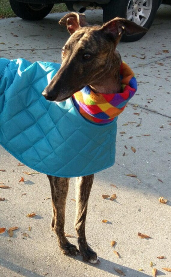 Whippet Sweater Pullover Coat Italian Greyhound Fleece Housecoats And Jumpers