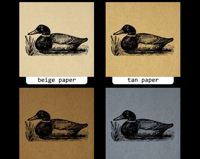 Printable Graphic Duck Image Antique Illustration Digital Bird Download Vintage Clip Art Jpg Png Eps HQ 300dpi No.1335