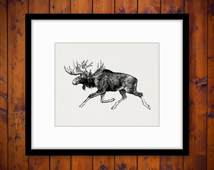 Printable Moose Graphic Download Digital Image Jpg Png Eps HQ 300dpi No.694