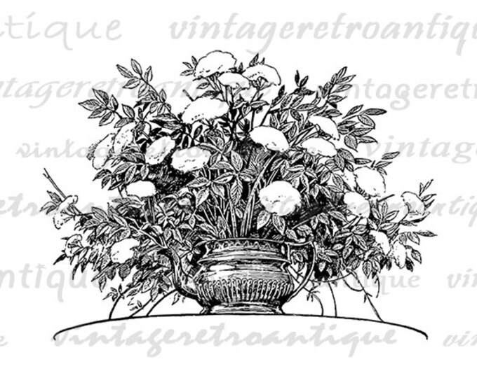 Digital Graphic Flower Plant Teacup Printable Download Image Vintage Clip Art Jpg Png Eps HQ 300dpi No.3792