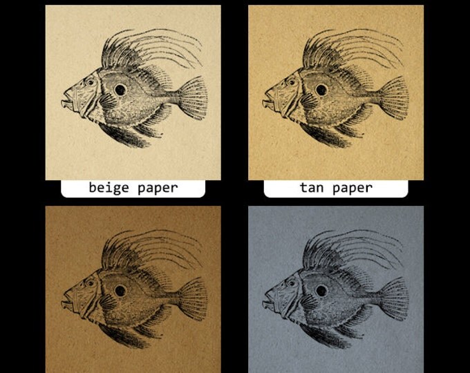 Antique Fish Printable Digital Download Graphic Image Vintage Clip Art Jpg Png Eps HQ 300dpi No.599