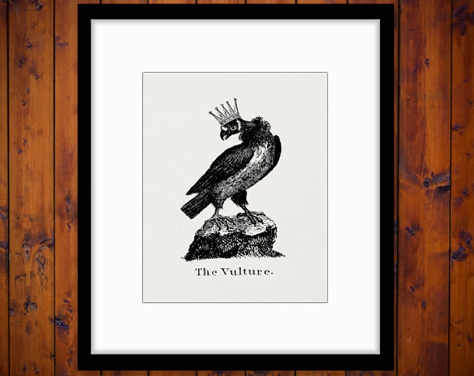 Vulture with Crown Graphic Printable Digital Bird Image Illustration Download Vintage Clip Art for Transfers etc HQ 300dpi No.1074