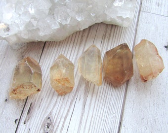 Small Natural Citrine Point - Raw Rough Gemstone Yellow Specimen From Congo 1"-2"