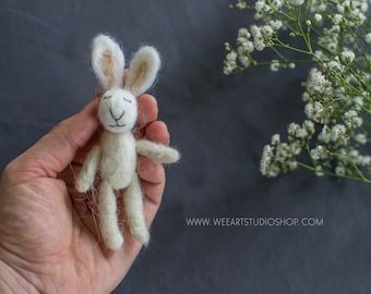 Tiny Rabbit Photography Prop Tiny Banny Needle Felted