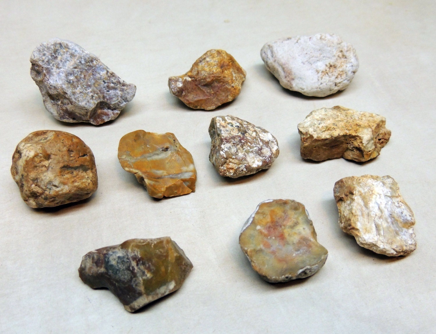 10 pedazos de pedernal o rocas de ChertXert 1" a 1 1/2" de largo para