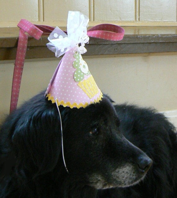 Items similar to Colorful Dog Birthday Hats / Personalized Pet Birthday