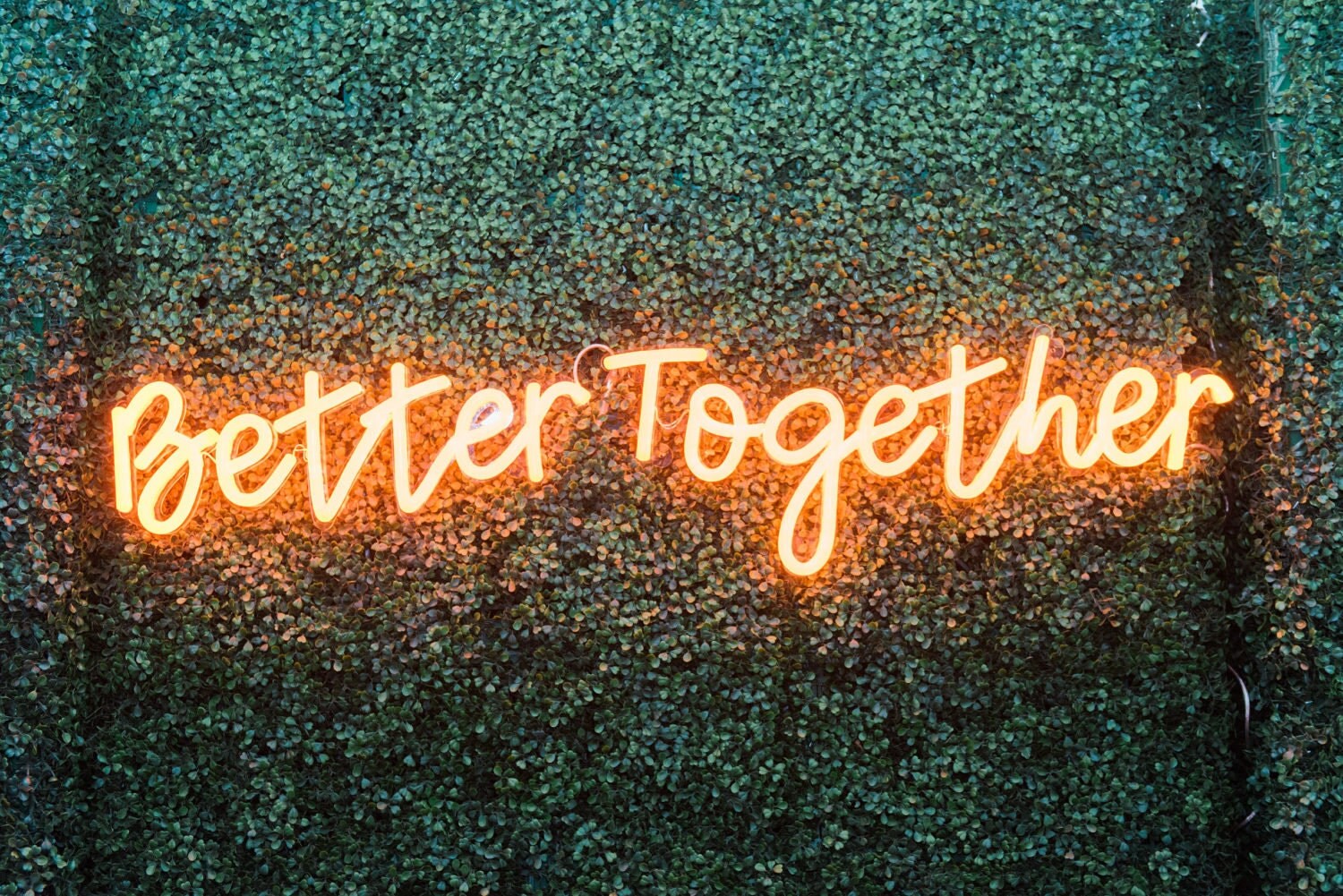 Custom neon sign. Neon sign. Any design any color. Message