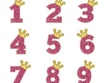 Number Applique Design Set 1-9 Applique 6 size Birthday Numbers applique Numbers design Embroidery Designs Machine Embroidery Designs PES