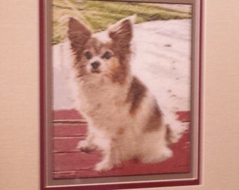 Hand made cross-stitch pictures made from your own photographs.