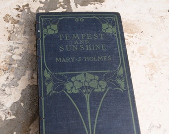 1882 TEMPEST and SUNSHINE Vintage Lined Notebook Journal