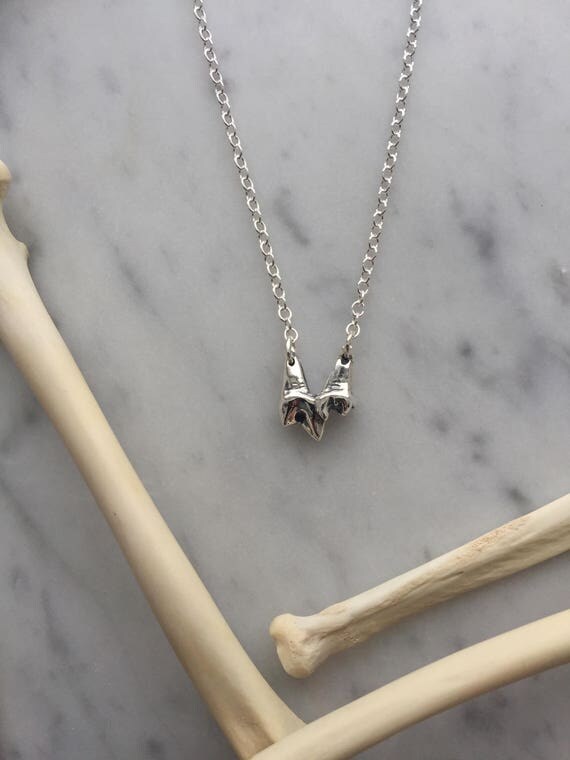 sterling silver fox tooth necklace tooth necklace silver