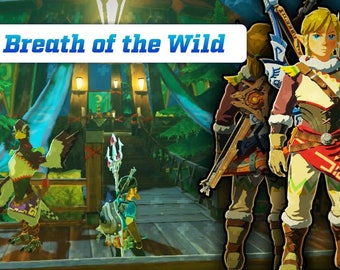 Legend of Zelda Breath of the wild cosplay costume for Link, custom commission installment payment plan for Kristen