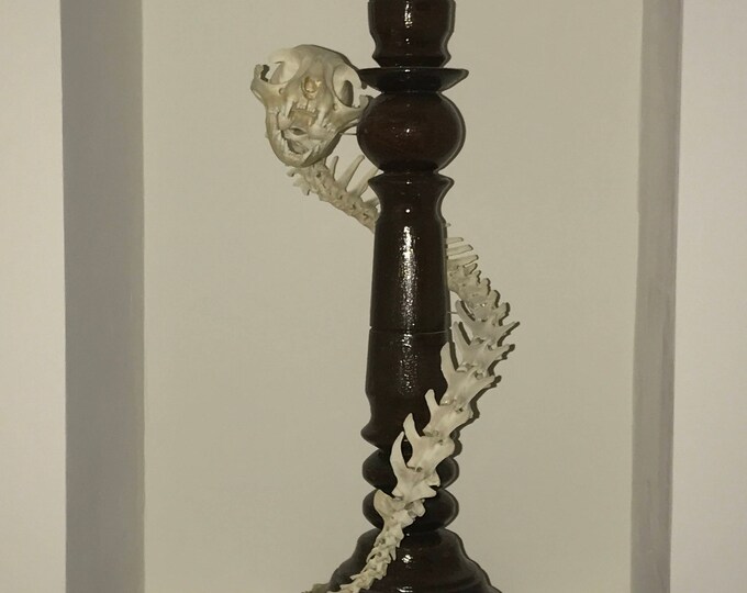 Original candlestick FabulouSkeletonS made of wood. Decorated by real animal bones and skull.