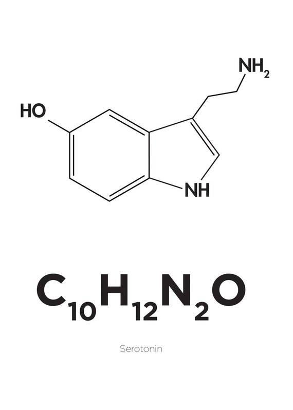 Download Oxytocin Serotonin Dopamine All 3 Posters sizes A2 A3 A4