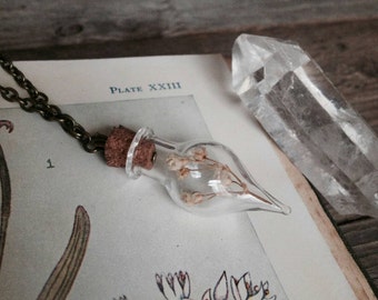 Vial Necklace // Terrarium Necklace // Dainty Necklace // Woodland // Dried flower Necklace // Real Flowers // White flowers // Romantic