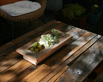 Artichoke Succulent Planter