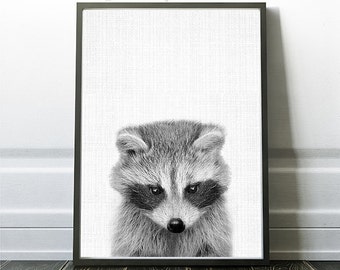 Raccoon | Etsy