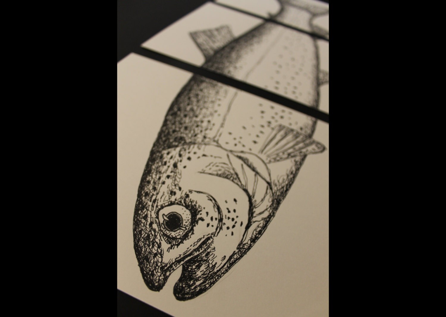 Rainbow trout ink drawing black & white art fish ink art