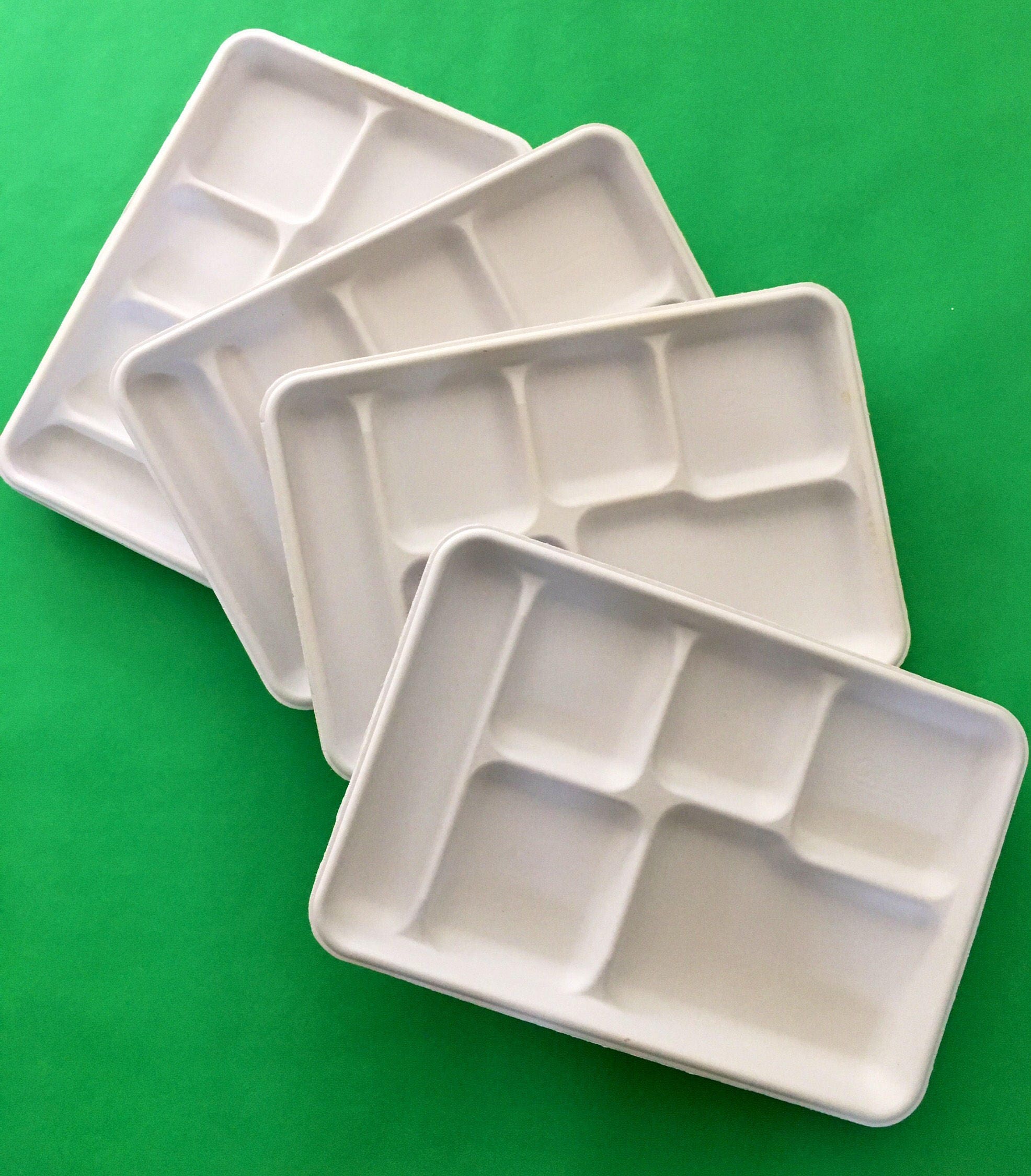 Divided Food Trays Set of 10 White fiber paper plates