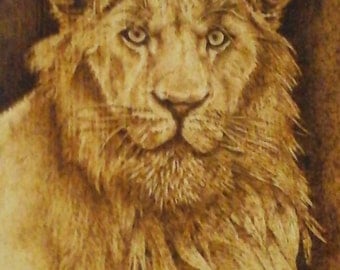 Lion Portrait Wood burning Pyrography