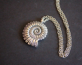 Ursula's shell necklace