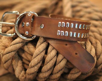 Leather Dog Collar - customized for your dog or choose from inventory!