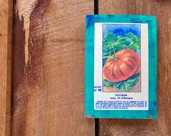 french pumpkin