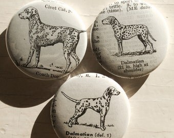 Dalmatian Vintage Dictionary Illustration Magnet Set of 3