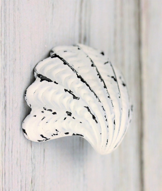 Shell Knobs Seashell Knobs Dresser Knobs Drawer Pulls