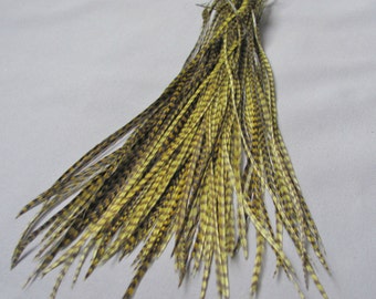 100 - 7 Inch Metz Grizzly Rooster Feathers - Dyed Olive