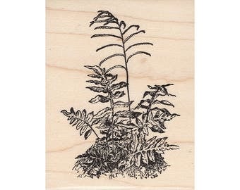 Tall Fern 950K Beeswax Rubber Stamps Unmounted, Cling, Mounted Stamp Scenic, Landscape Stamping