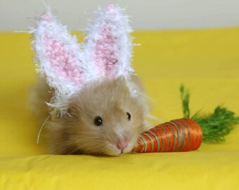 Hamster Easter Bunny Ears Hat, Hamster clothes, Halloween Costume for Hamster, Tiny Pet Hat, Hamster Rabbit Ears
