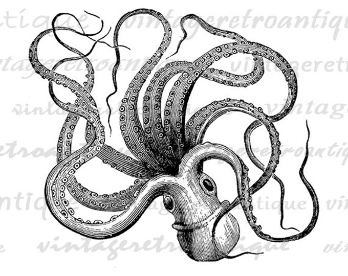 Printable Octopus Clipart Octopus Graphic Download Ocean Digital Image Sea Animal Vintage Antique Clip Art Jpg Png Eps HQ 300dpi No.091