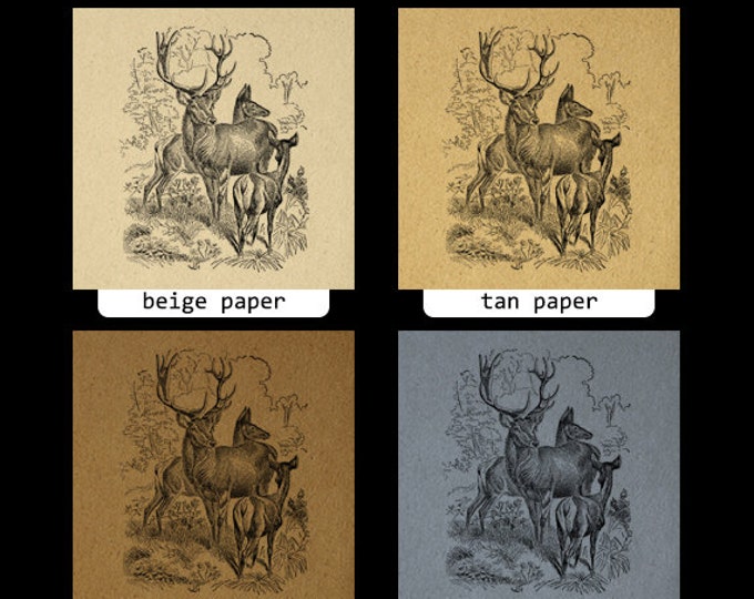 Printable Image Digital Deer Image Vintage Clipart Download Art Graphic Digital Illustration Antique Clip Art Jpg Png Eps HQ 300dpi No.2663