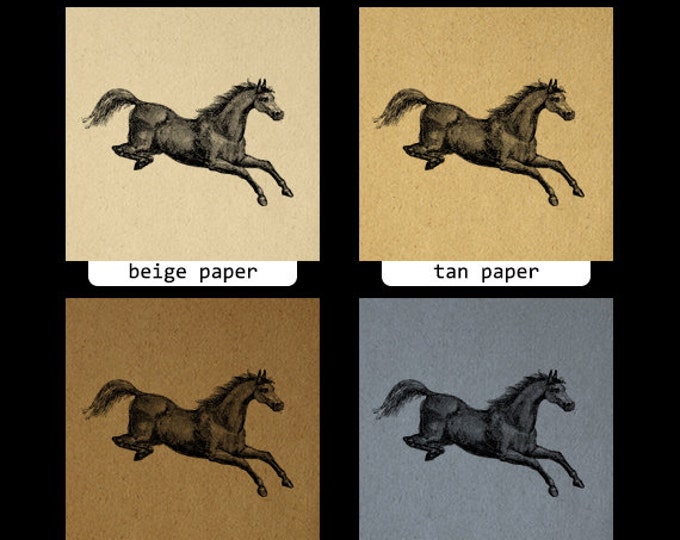 Digital Jumping Horse Printable Image Graphic Download Artwork Antique Clip Art Jpg Png Eps HQ 300dpi No.2278