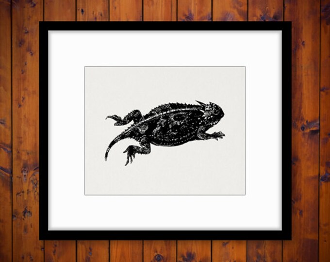 Digital Horned Toad Image Printable Frog Download Illustration Graphic Antique Clip Art Jpg Png Eps HQ 300dpi No.3414