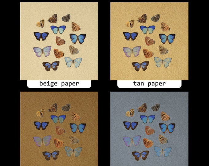 Printable Graphic Butterflies Collage Sheet Digital Butterfly Image Download Vintage Clip Art HQ 300dpi No.811