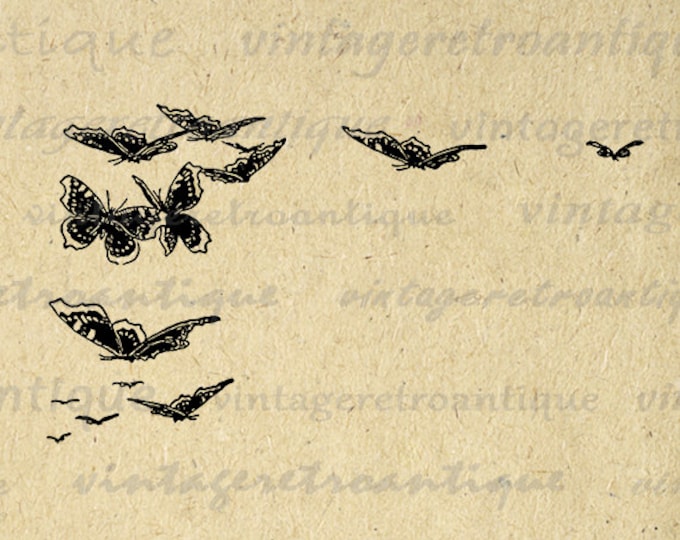 Printable Image Butterflies Download Flying Butterfly Digital Graphic Vintage Clip Art Jpg Png Eps HQ 300dpi No.3028