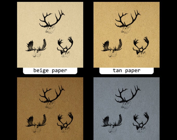 Digital Image Moose Elk Caribou Antlers Printable Animals Download Graphic Jpg Png Eps HQ 300dpi No.1013